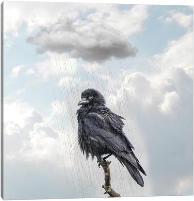 Raven I Canvas Art Print - Dmitry Biryukov
