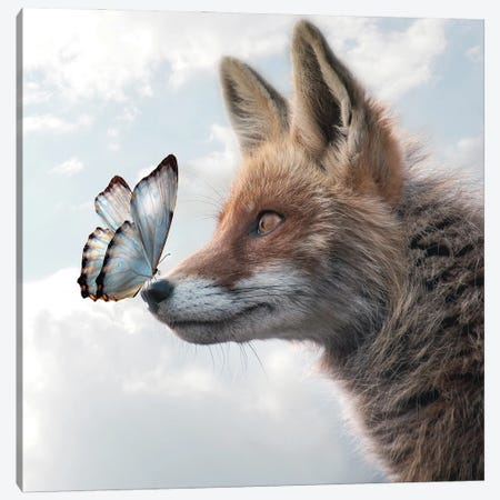Fox Of Butterflies Canvas Print #DBY16} by Dmitry Biryukov Canvas Print