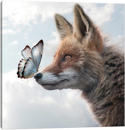Fox Of Butterflies Canvas Art Print - Fox Art