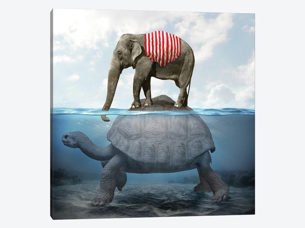 Elephant Turtle I by Dmitry Biryukov 1-piece Canvas Art