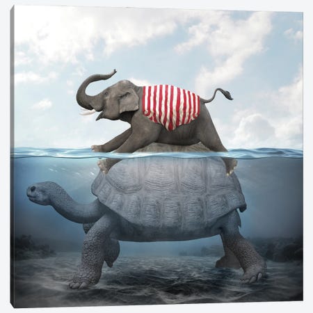 Elephant Turtle II Canvas Print #DBY18} by Dmitry Biryukov Canvas Wall Art
