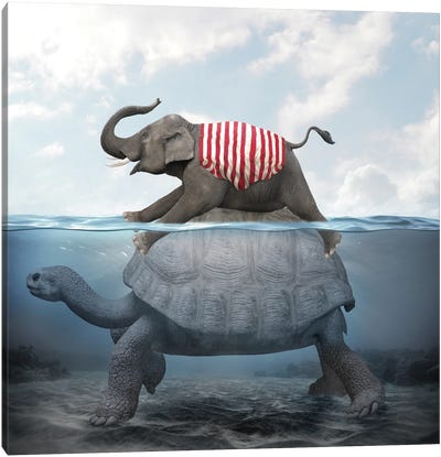 Elephant Turtle II Canvas Art Print - Gentle Giants