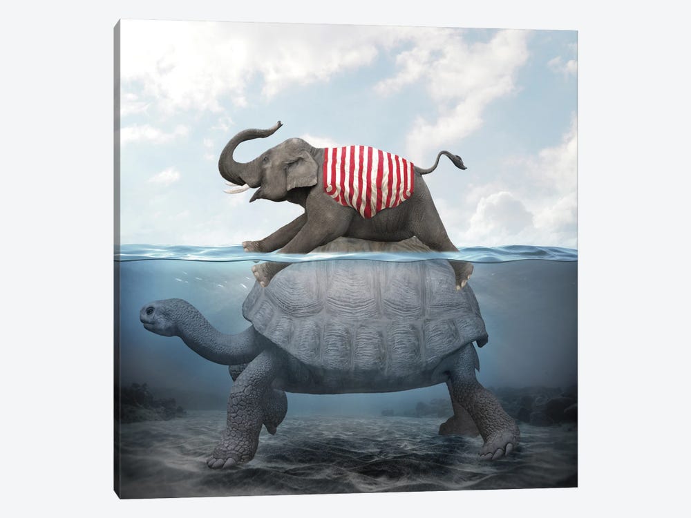 Elephant Turtle II by Dmitry Biryukov 1-piece Canvas Art Print