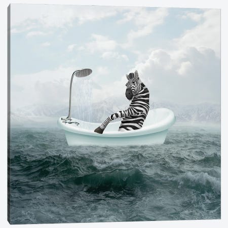 Zebra In The Bathroom Canvas Print #DBY19} by Dmitry Biryukov Canvas Artwork