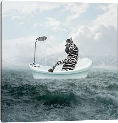 Zebra In The Bathroom Canvas Art Print - Dmitry Biryukov