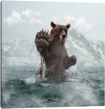 Bear Canvas Art Print - Dmitry Biryukov