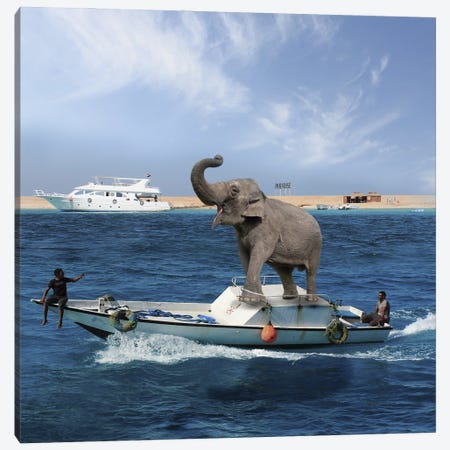 Elephant On A Boat Canvas Print #DBY20} by Dmitry Biryukov Art Print