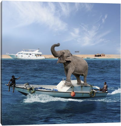 Elephant On A Boat Canvas Art Print - Dmitry Biryukov