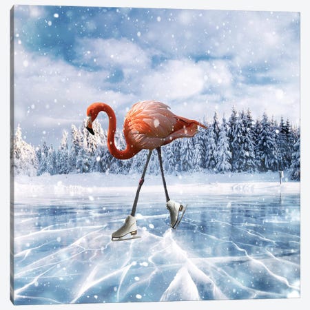 Flamingos On Ice Canvas Print #DBY21} by Dmitry Biryukov Canvas Art Print