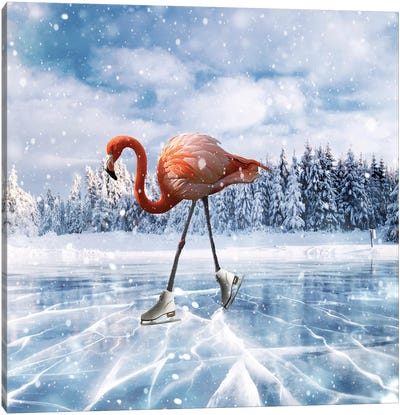 Flamingos On Ice Canvas Art Print - Dmitry Biryukov