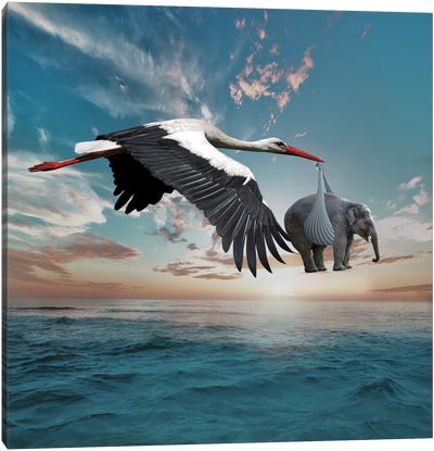 Stork Canvas Art Print - Gentle Giants