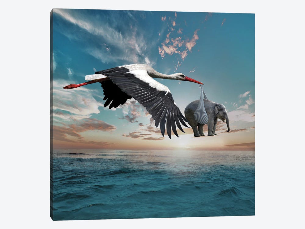 Stork by Dmitry Biryukov 1-piece Canvas Wall Art