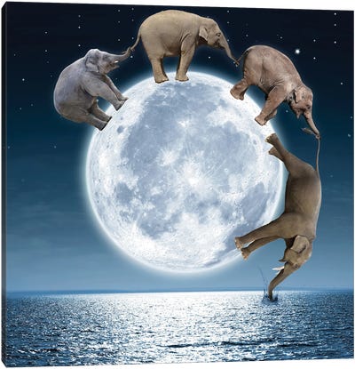 Elephants On The Moon Canvas Art Print - Dmitry Biryukov