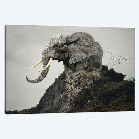 Elephant Mountain Canvas Print #DBY30} by Dmitry Biryukov Canvas Art