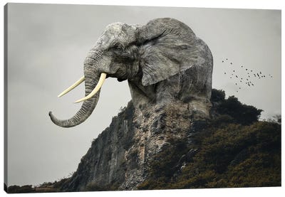 Elephant Mountain Canvas Art Print - Dmitry Biryukov