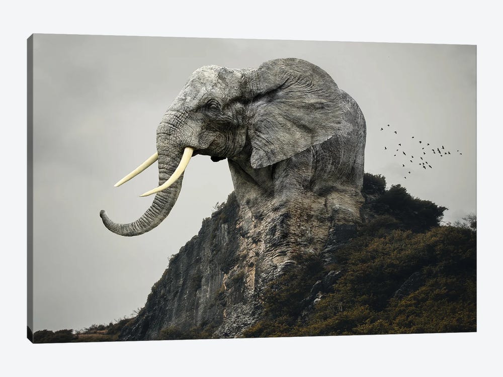 Elephant Mountain by Dmitry Biryukov 1-piece Canvas Art Print