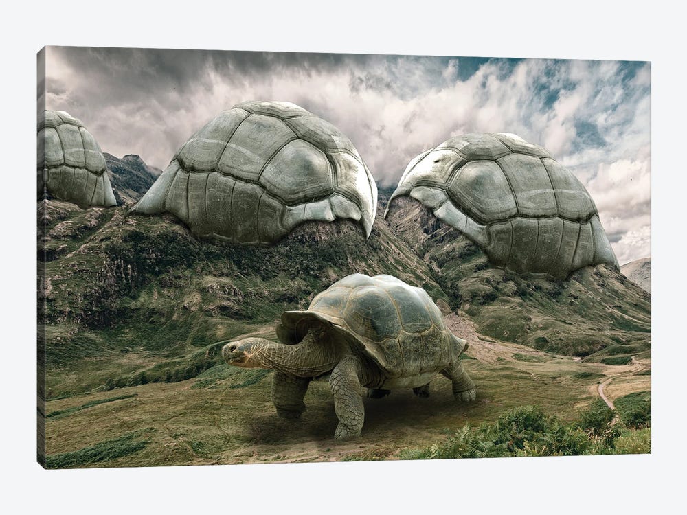 Turtle by Dmitry Biryukov 1-piece Canvas Art