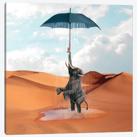 Elephant Desert Canvas Print #DBY32} by Dmitry Biryukov Canvas Wall Art