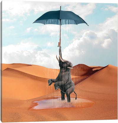 Elephant Desert Canvas Art Print - Dmitry Biryukov