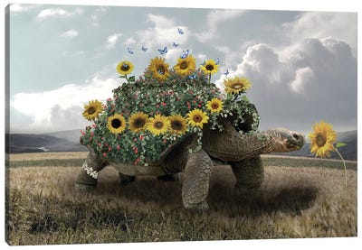 Turtle Sunflower Canvas Art Print - Dmitry Biryukov