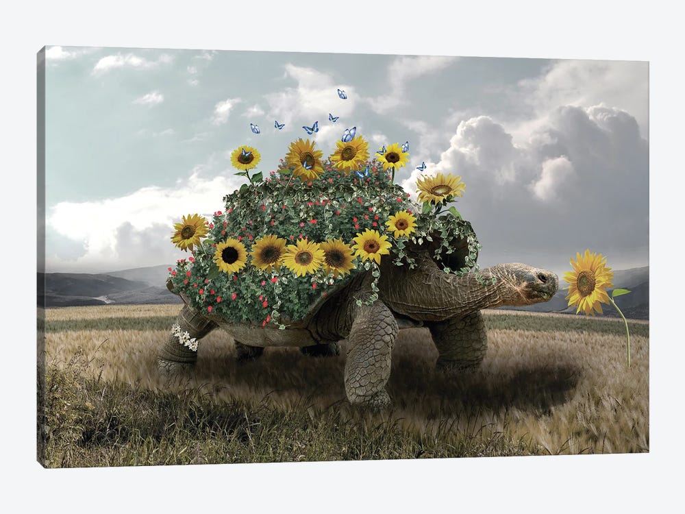 Turtle Sunflower by Dmitry Biryukov 1-piece Canvas Art