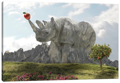 Rhino Rock Canvas Art Print - Rhinoceros Art