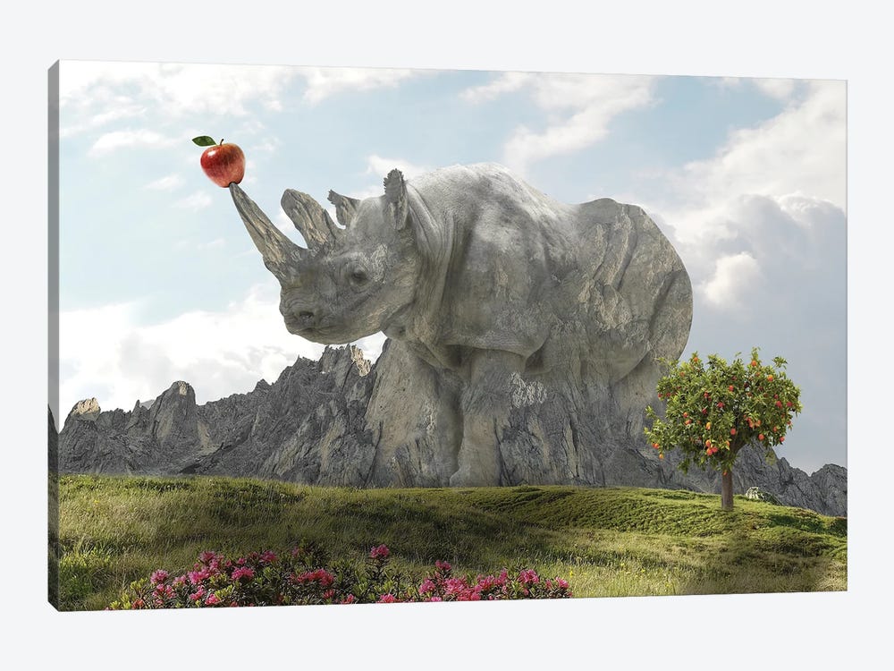 Rhino Rock by Dmitry Biryukov 1-piece Art Print
