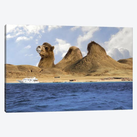 Camel Mountains Canvas Print #DBY35} by Dmitry Biryukov Art Print