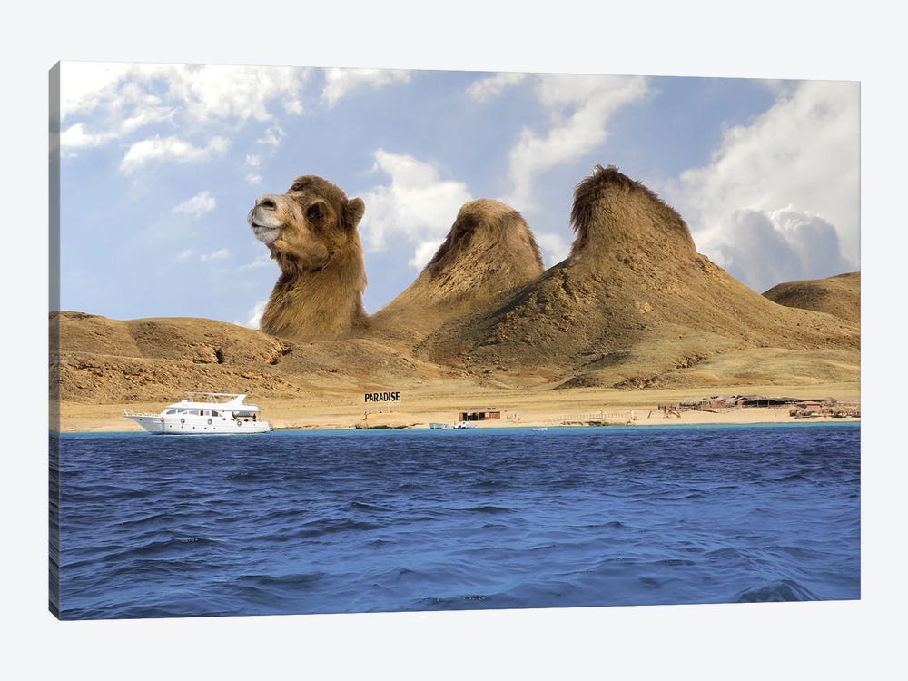 Camel Mountains by Dmitry Biryukov 1-piece Canvas Artwork