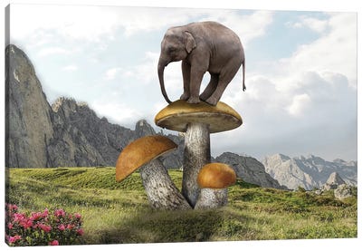 Words On Mushrooms Canvas Art Print - Mushroom Art