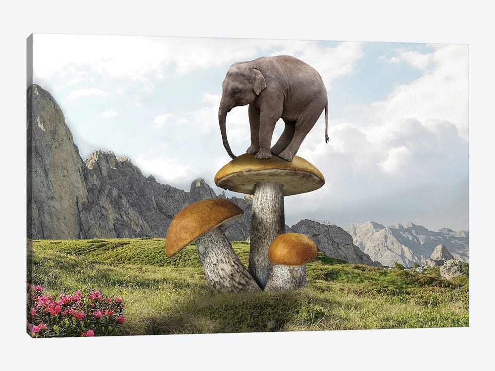 Words On Mushrooms by Dmitry Biryukov 1-piece Art Print