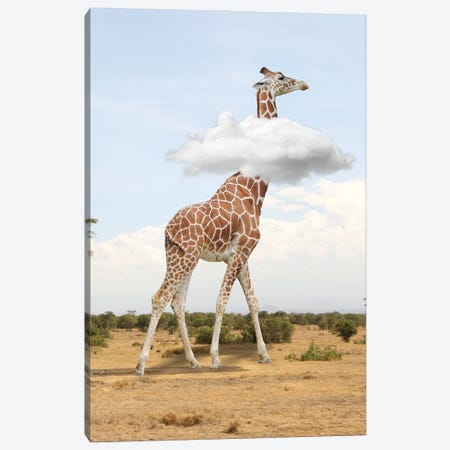 Giraffe In The Clouds Canvas Print #DBY37} by Dmitry Biryukov Canvas Print