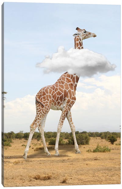 Giraffe In The Clouds Canvas Art Print - Dmitry Biryukov