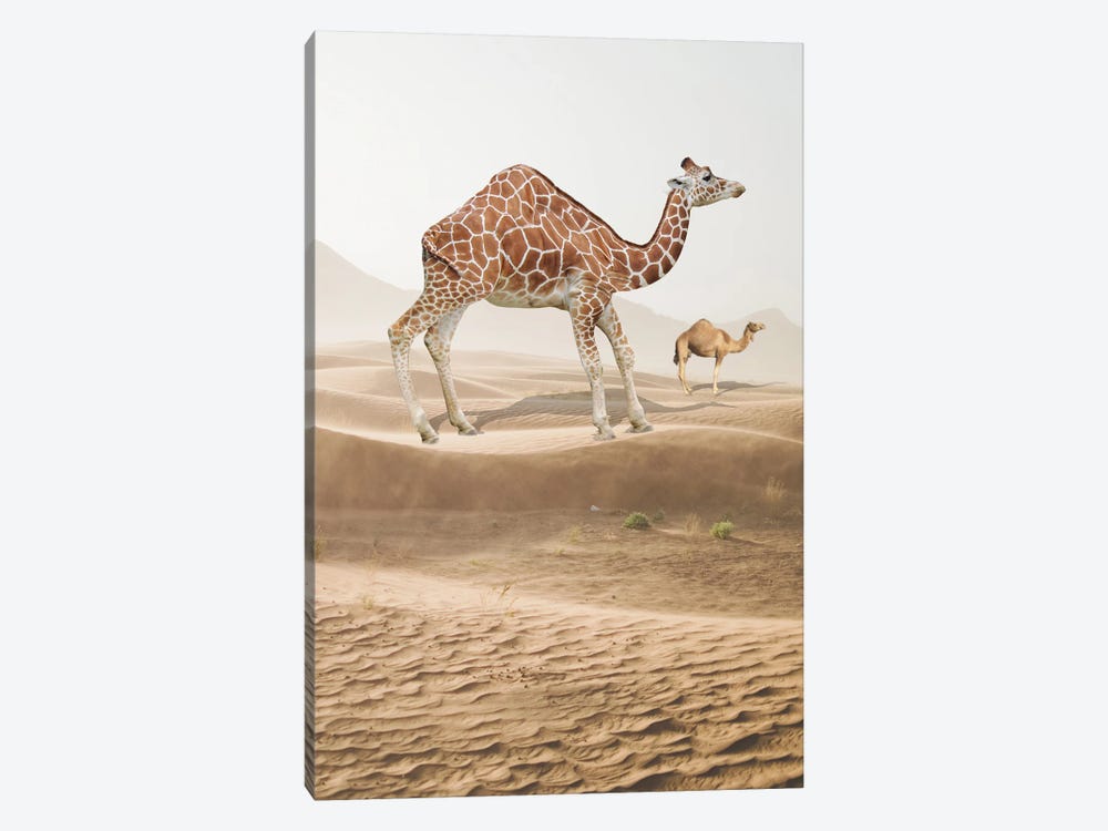 Giraffe Camel by Dmitry Biryukov 1-piece Canvas Print