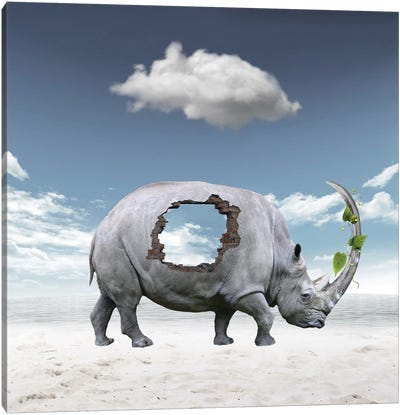 Rhinoceros Canvas Art Print - Dmitry Biryukov