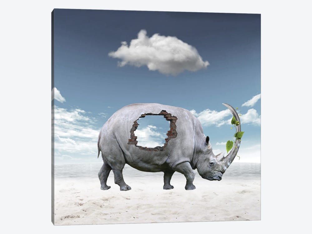 Rhinoceros by Dmitry Biryukov 1-piece Canvas Art