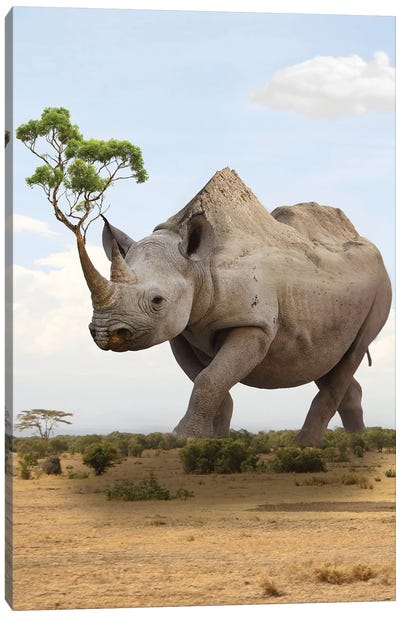 Rhino Mountain I Canvas Art Print - Rhinoceros Art
