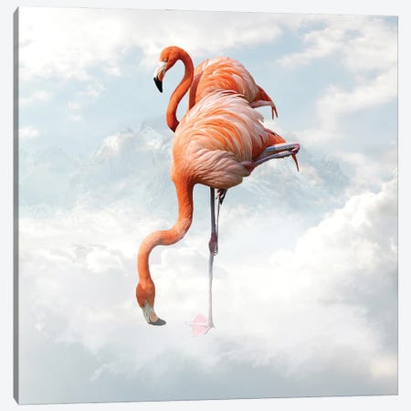 Flamingo Canvas Print #DBY6} by Dmitry Biryukov Canvas Print