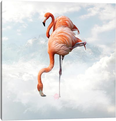 Flamingo Canvas Art Print - Dmitry Biryukov