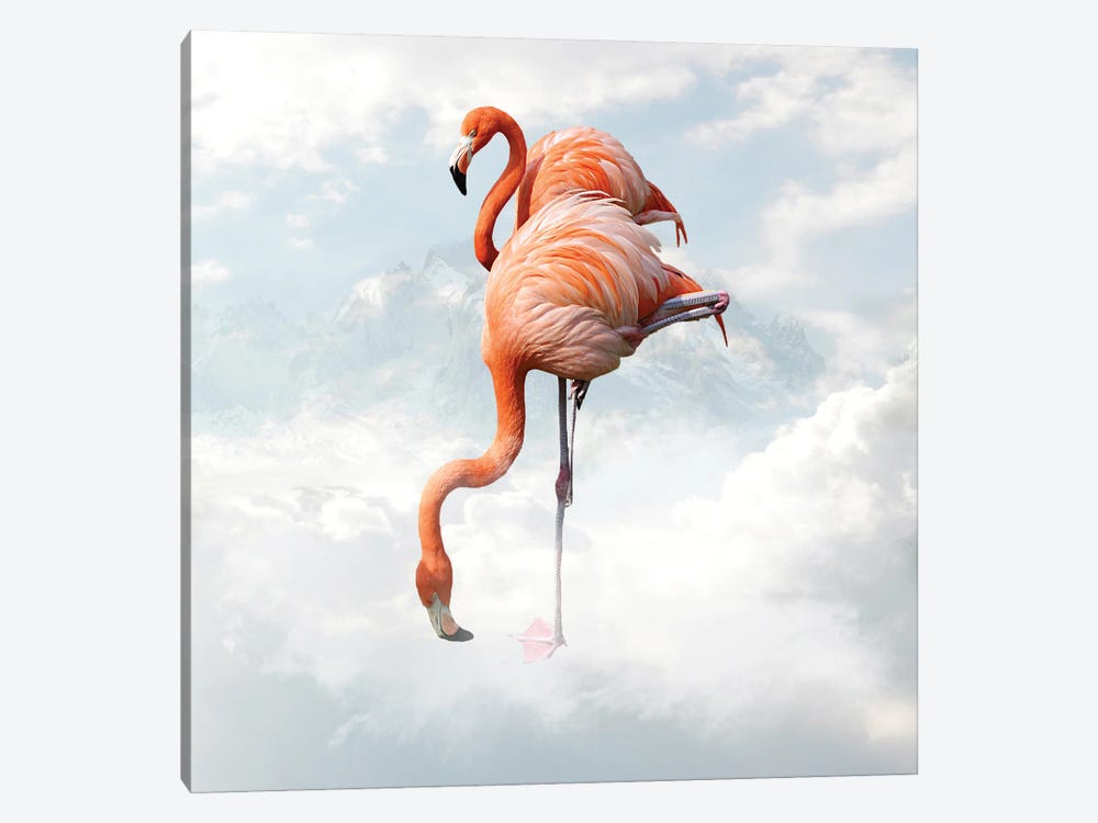 Flamingo by Dmitry Biryukov 1-piece Canvas Art Print