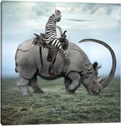 Zebra Stripes On A Rhino Canvas Art Print - Rhinoceros Art