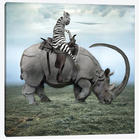 Zebra Stripes On A Rhino Canvas Print #DBY9} by Dmitry Biryukov Canvas Wall Art