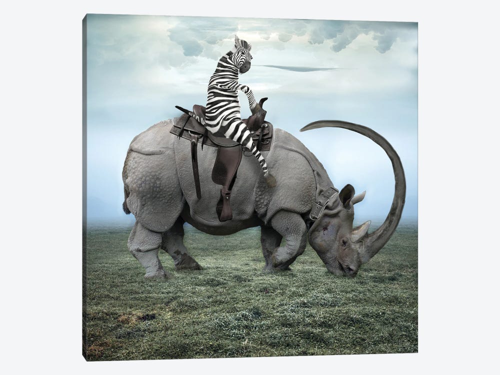 Zebra Stripes On A Rhino by Dmitry Biryukov 1-piece Canvas Art
