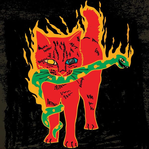 Snakes: Cat And Snake (Yellow Flames) by Dai Chris Art