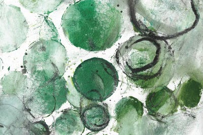 Alex Calder Green II by Deb Chaney canvas print