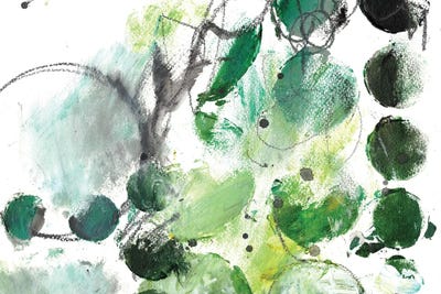 Alex Calder Green I by Deb Chaney framed canvas print