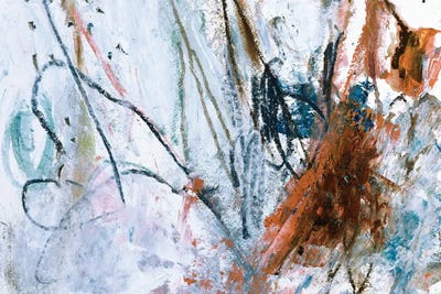 Ibdd by Deb Chaney canvas print