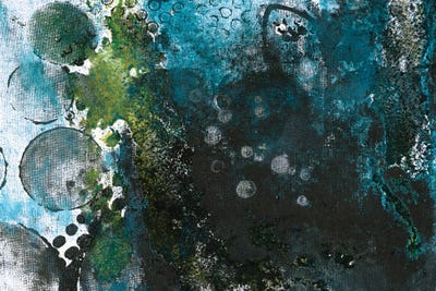 The Death Of Our World by Deb Chaney canvas print