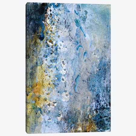 Tree Bark From Another Planet Canvas Print #DCH126} by Deb Chaney Canvas Wall Art