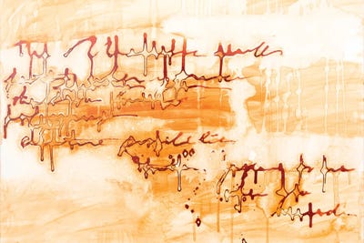 The Writing Is In The Air - Sienna by Deb Chaney framed canvas print